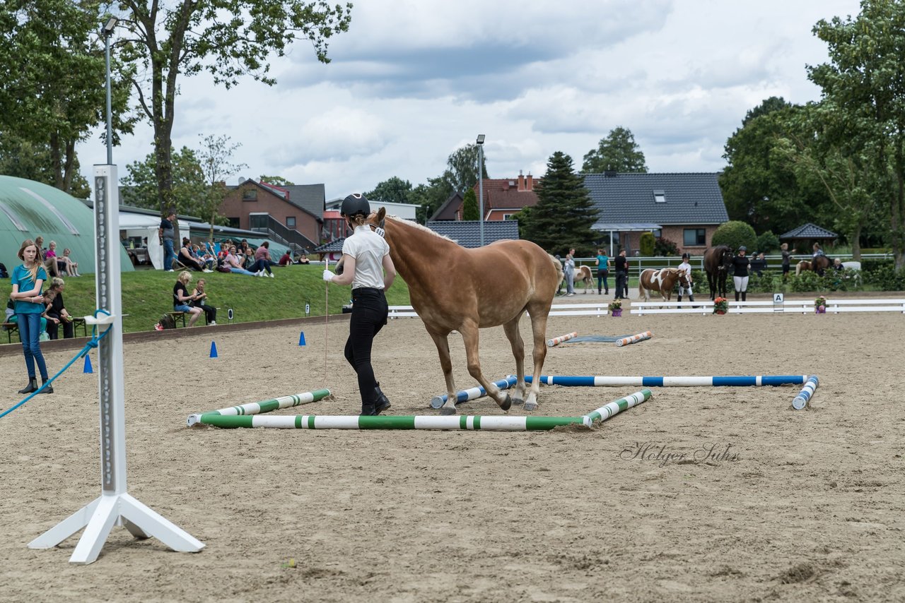 Bild 12 - Pony Akademie Turnier